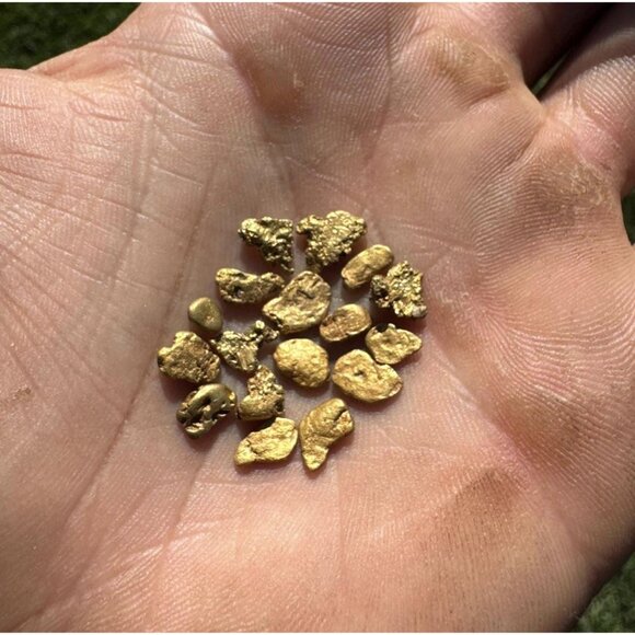 California Gold Nuggets Lot 5.45 grams - Picture 6 of 6